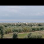 Savelletri di Fasano — Antica masseria lato mare con terrazzo vista Adriatico, due lamie e 36.000 mq di ulivi secolari e agrumeto.