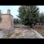 Savelletri di Fasano — Antica masseria lato mare con terrazzo vista Adriatico, due lamie e 36.000 mq di ulivi secolari e agrumeto.