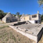 Alberobello — Agglomerato di trulli a sette coni con ipogeo, corte e 15.000 mq di uliveto. Un progetto che vale una vita.
