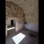 Alberobello — Agglomerato di trulli a sette coni con ipogeo, corte e 15.000 mq di uliveto. Un progetto che vale una vita.