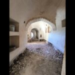 Alberobello — Agglomerato di trulli a sette coni con ipogeo, corte e 15.000 mq di uliveto. Un progetto che vale una vita.