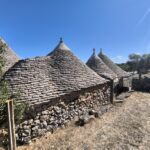 Alberobello — Agglomerato di trulli a sette coni con ipogeo, corte e 15.000 mq di uliveto. Un progetto che vale una vita.