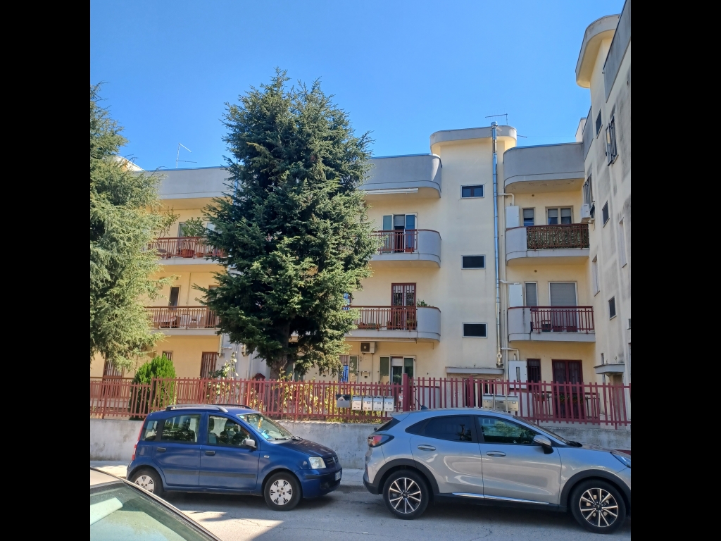 Foto di Appartamento a Cassano delle Murge, riferimento 885